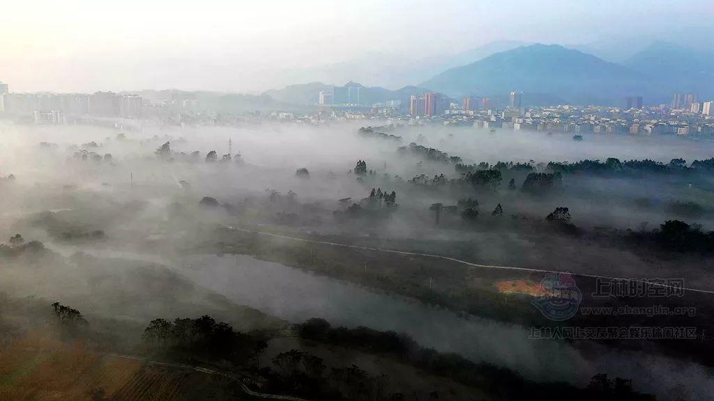 88影视