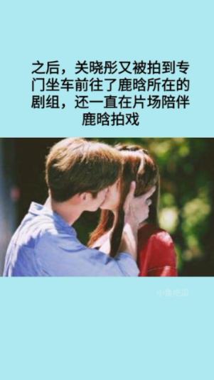 创作猫