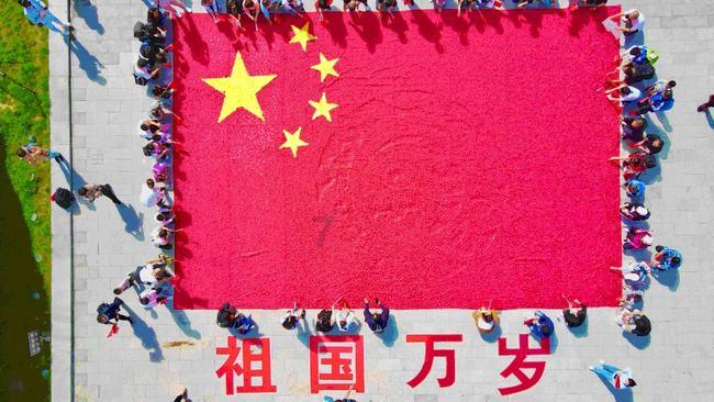 虫虫助手下载